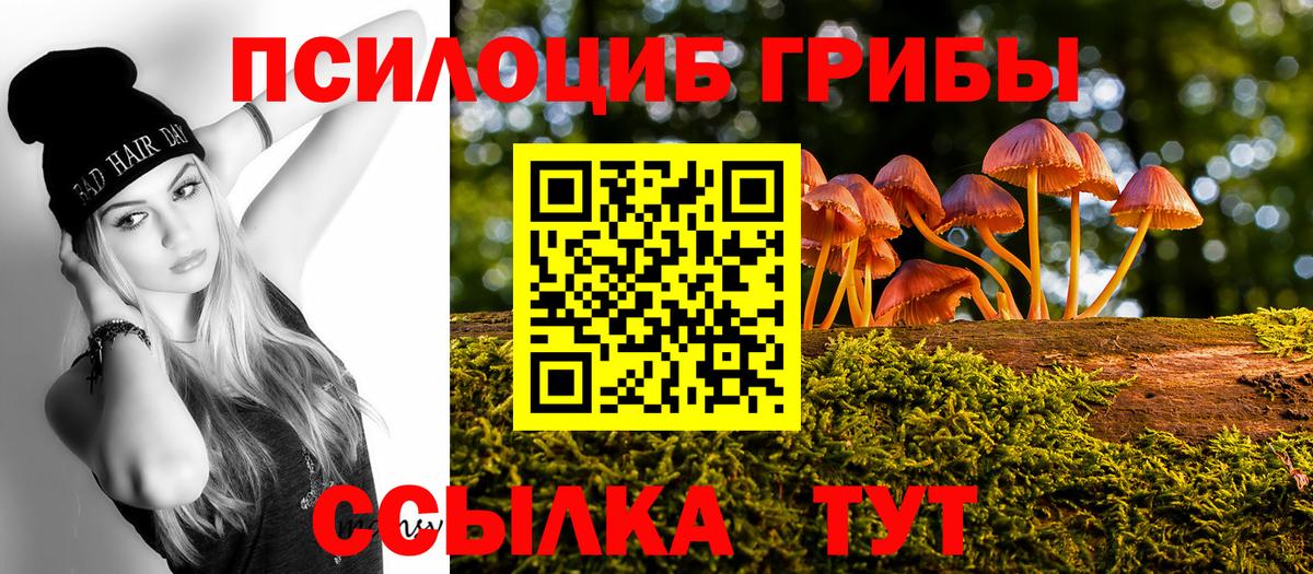 Псилоцибиновые грибы Magic Shrooms Чита